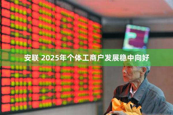 安联 2025年个体工商户发展稳中向好