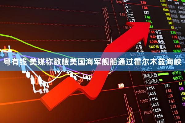 粤有钱 美媒称数艘美国海军舰船通过霍尔木兹海峡